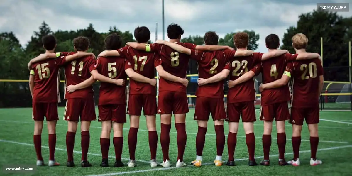 为什么选择我们